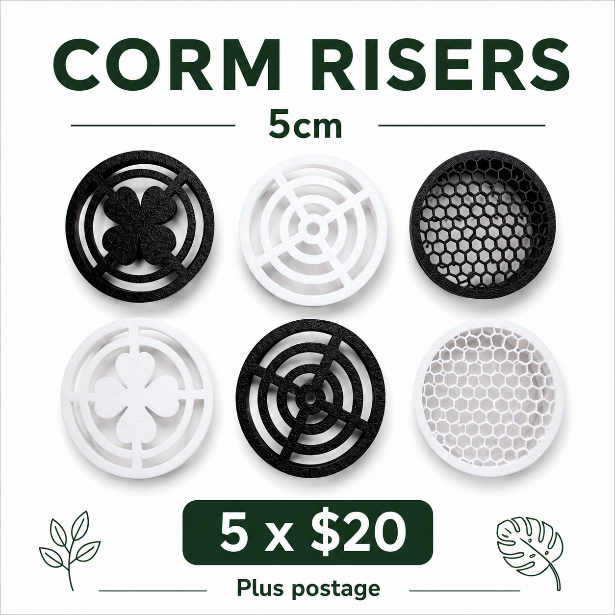Alocasia Corm Risers    5cm - Designed for the Puddle Method