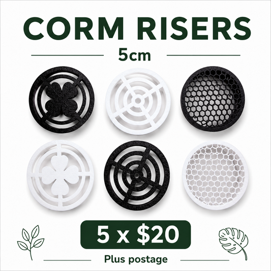 Alocasia Corm Risers    5cm - Designed for the Puddle Method