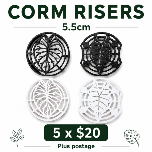 Alocasia Corm Risers    5.5cm - Designed for the Puddle Method (Copy)