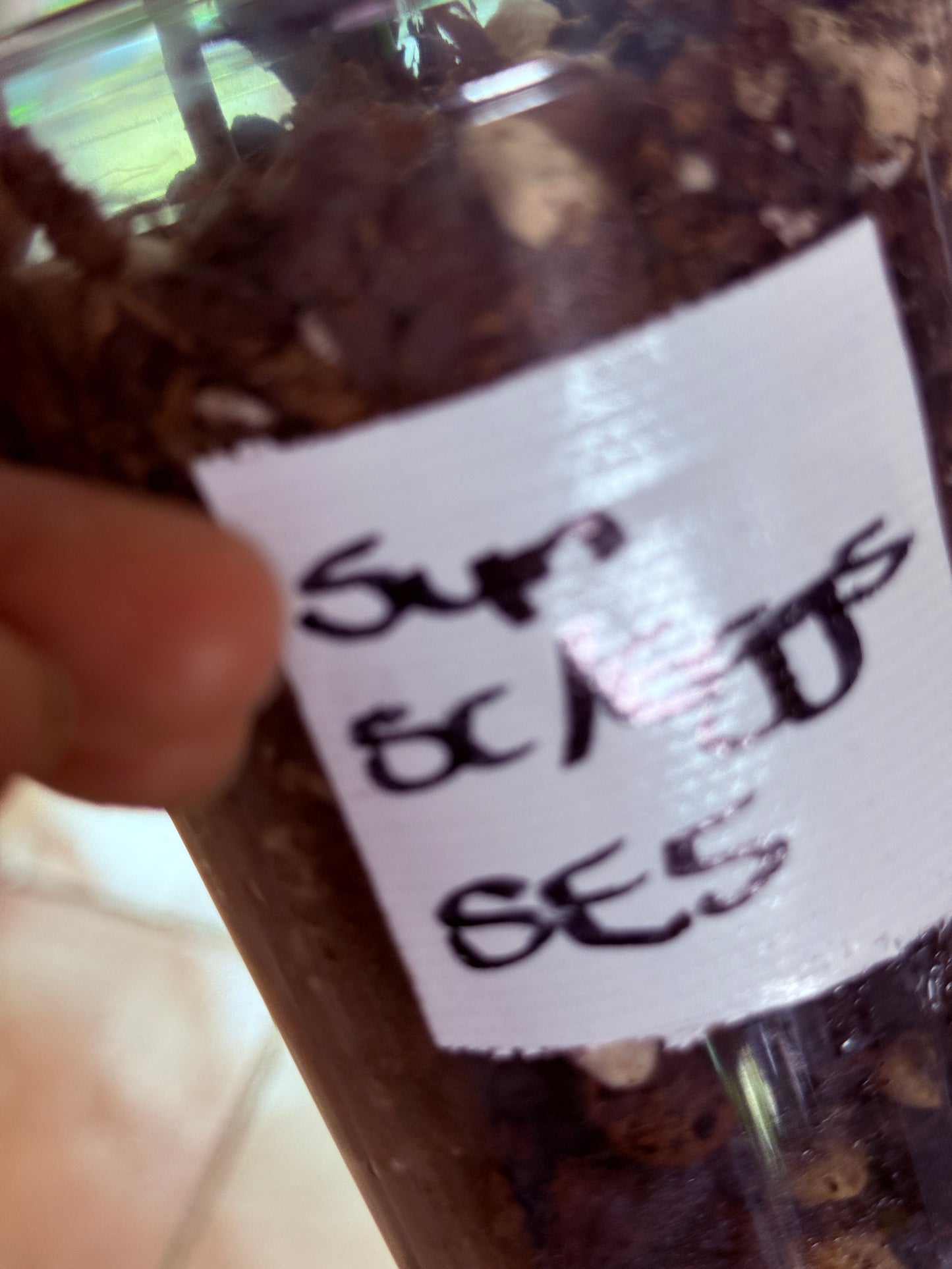 Syngonium Scrambled Eggs - SE5