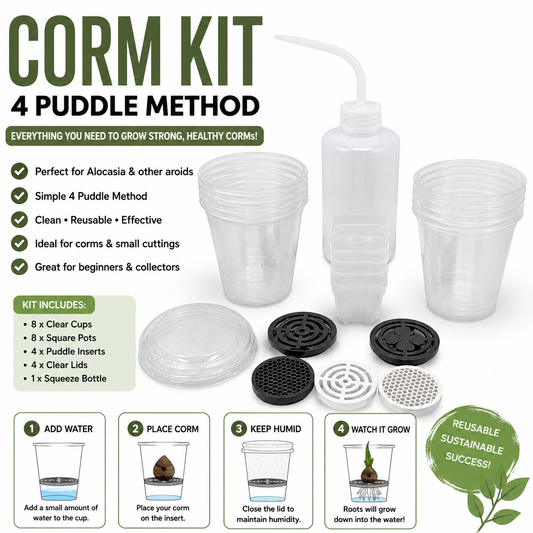 Corm Kit 4 Alocasia Puddle Method