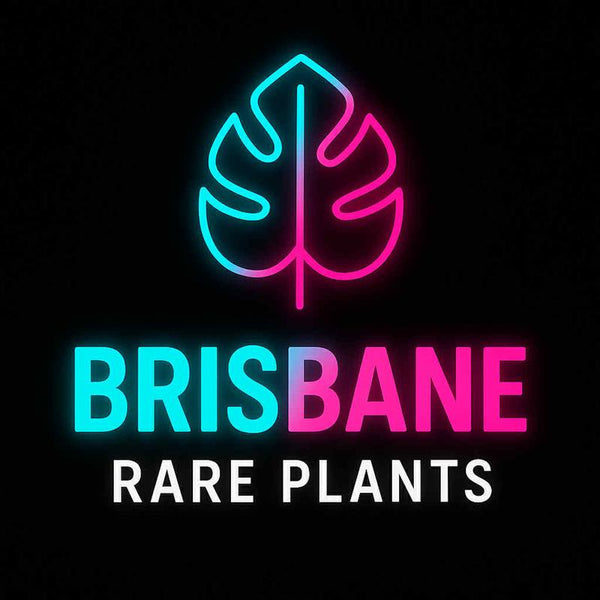 Brisbane Rare Plants